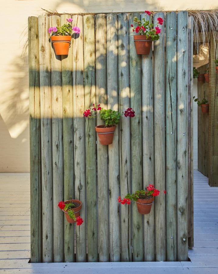 Posada Tamarindo José Ignacio Exteriör bild
